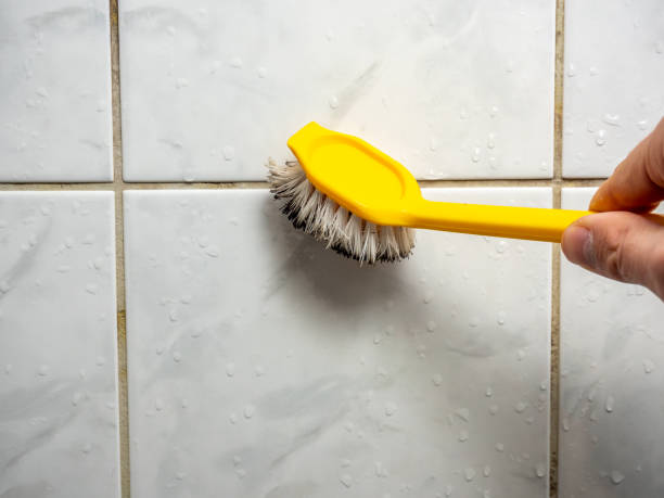 Best Attic Mold Removal  in West Mifflin, PA