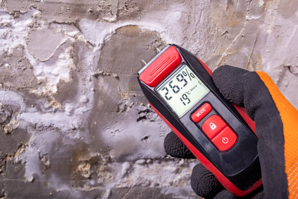 West Mifflin, PA Mold Removal Company