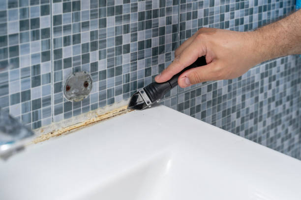 Best Mold Remediation  in West Mifflin, PA