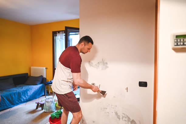 Best Residential Mold Removal  in West Mifflin, PA